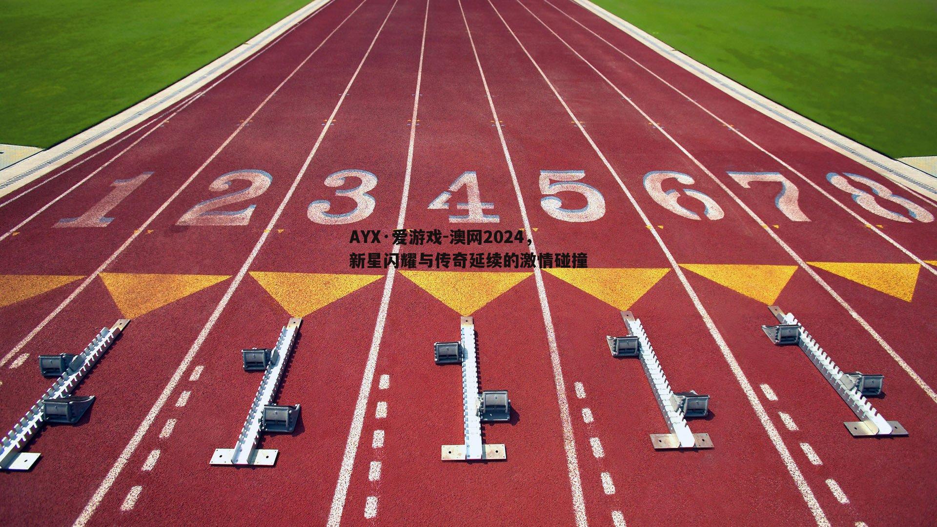 澳网2024，新星闪耀与传奇延续的激情碰撞